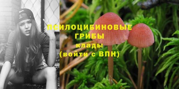 герыч Осинники