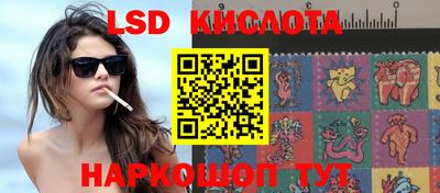 крисы Аргун