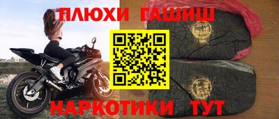 крисы Аргун