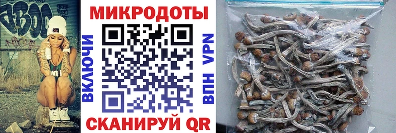 продажа наркотиков  Баксан  Галлюциногенные грибы MAGIC MUSHROOMS 