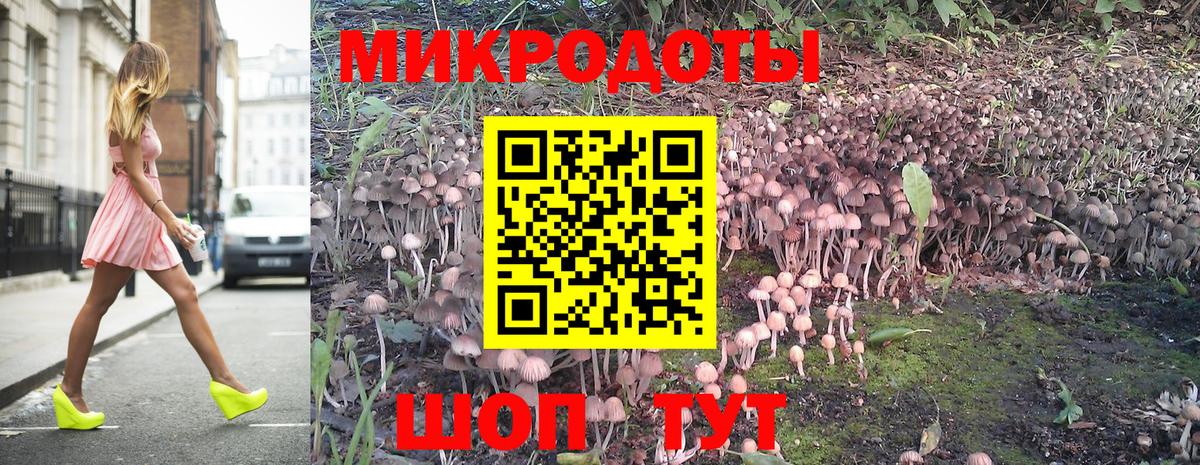 купить наркотики сайты  Баксан  Псилоцибиновые грибы MAGIC MUSHROOMS 