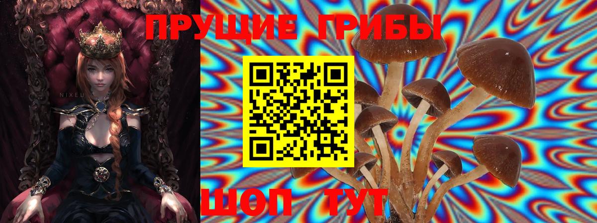 как найти закладки  Галлюциногенные грибы Cubensis  Вход с VPN  Баксан 