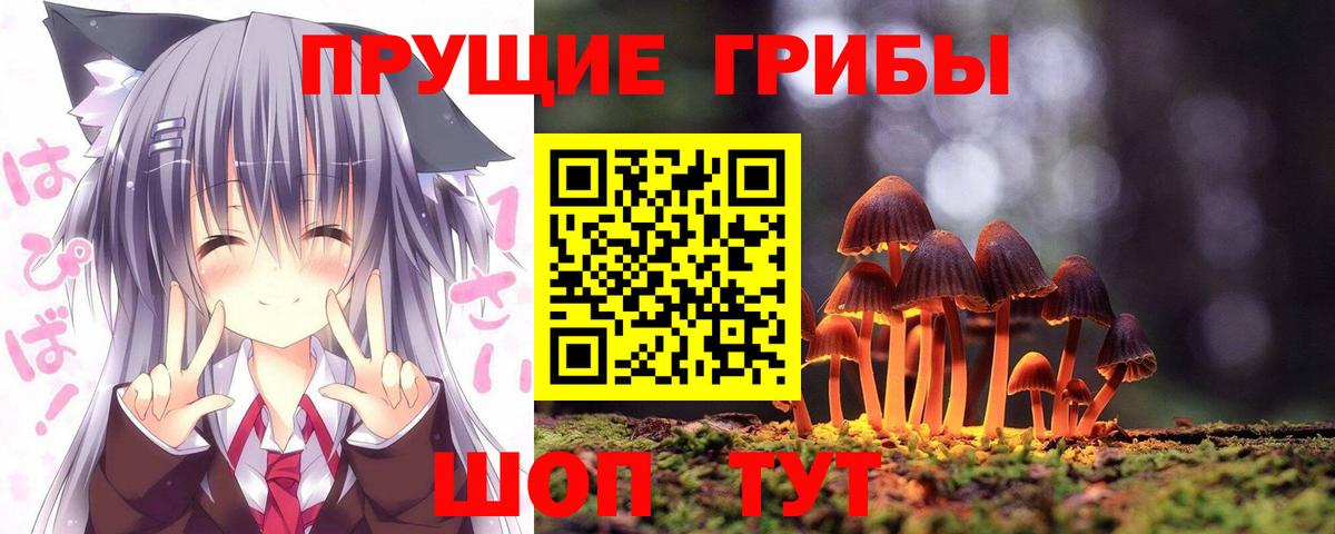Галлюциногенные грибы Cubensis Баксан